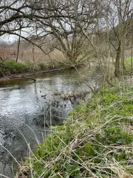 Schwarzbach (Thaleischweiler-Fröschen)