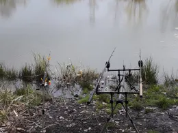 Waldteich Thalheim-2