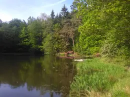 Kunstteich (Ballenstedt)-4