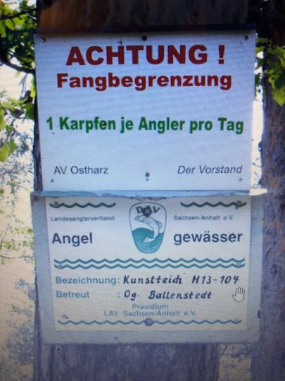 Kunstteich (Ballenstedt)-2