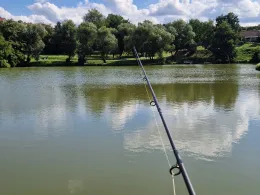 Weiher vom Kollerhof (Proggersdorf)-1
