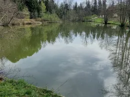 Angelweiher Höhberg I