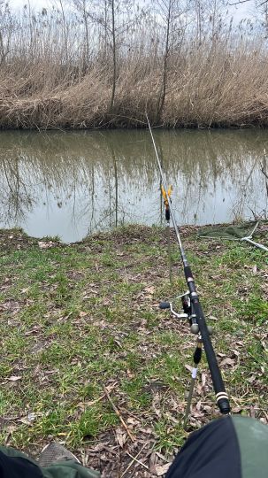 Walder Altmühl (Gunzenhausen)