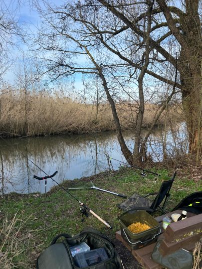 Walder Altmühl (Gunzenhausen)-1