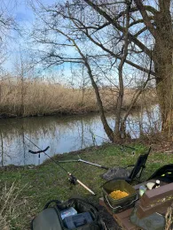 Walder Altmühl (Gunzenhausen)-1