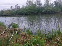 Walder Altmühl (Gunzenhausen)-4