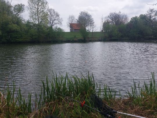 Walder Altmühl (Gunzenhausen)-3