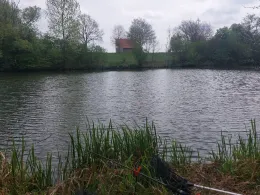 Walder Altmühl (Gunzenhausen)-3