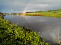 Gudenå (Langå)-4