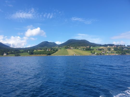 Rødvenfjorden