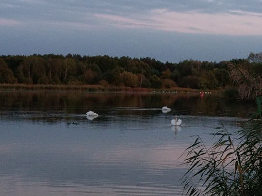 Neuendorfer See (Neuendorf)-3