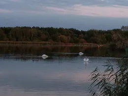 Neuendorfer See (Neuendorf)-3