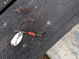 Neuendorfer See (Neuendorf)-1