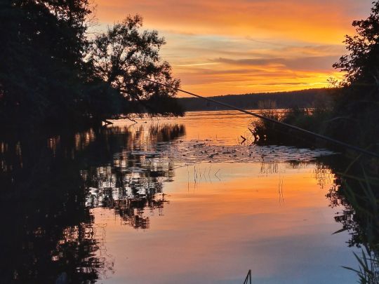 Neuendorfer See (Neuendorf)-2