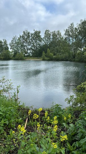 Birkensee (Gennach)-2