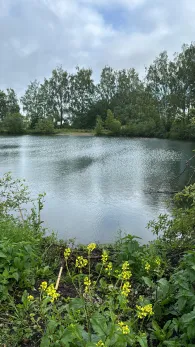 Birkensee (Gennach)-2