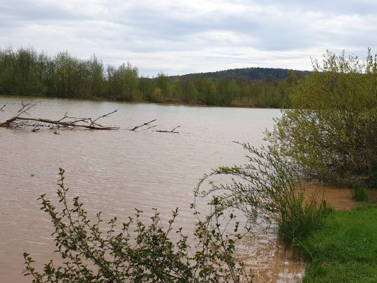 Brückenhaussee (Baunach)-2