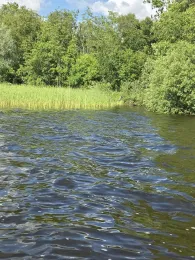Bovenwijde (Giethoorn)-1