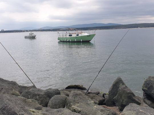 Schwarzes Meer (Primorsko)