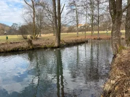 Teich im Grund (Bad Endbach)