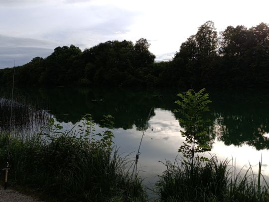 Wöhrsee (Burghausen)-2