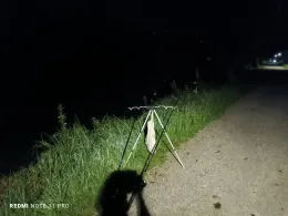 Wöhrsee (Burghausen)