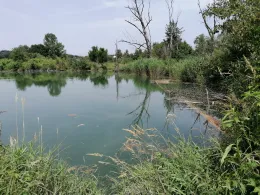 Stangl Angelweiher-2