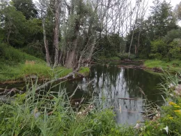 Stangl Angelweiher-1