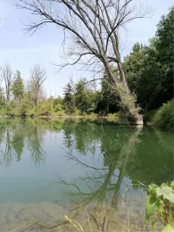 Stangl Angelweiher-3