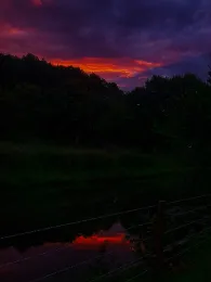 SBF Vereinsteiche (Laaber)-4