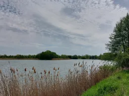 Kiessandtagebau Sollnitz 1-3