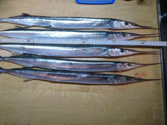 Kieler Förde (auf See)-1