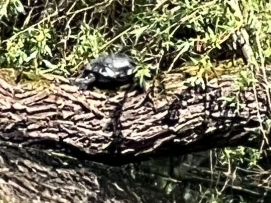 Stausee Oberwartha-1