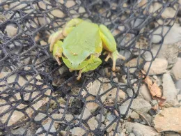 Hohenwartetalsperre-2