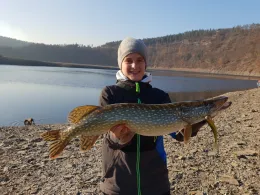 Hohenwartetalsperre-4