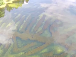 Blauer See (Bad Erna)