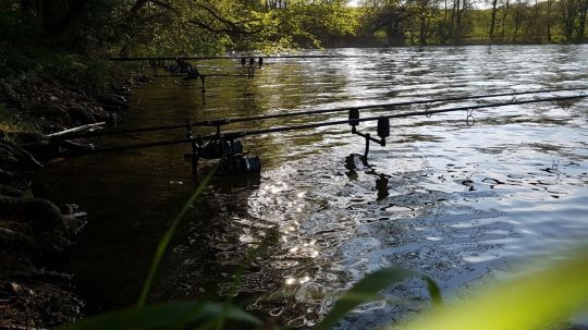 Düstersee (Temmen)-3