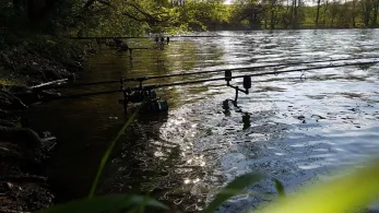 Düstersee (Temmen)-3