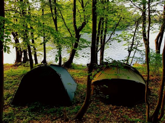 Düstersee (Temmen)-4