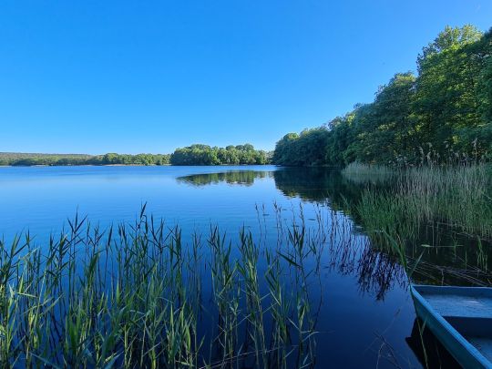 Düstersee (Temmen)-1