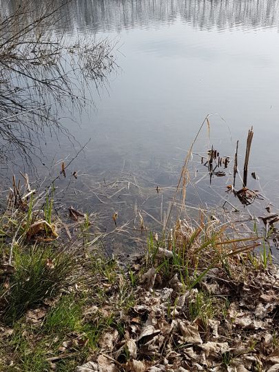 Haindlesee (Burtenbach)-2