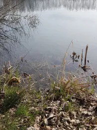 Haindlesee (Burtenbach)-2