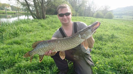 Unstrut (Freyburg/Unstrut)-1