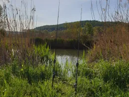 Unstrut (Freyburg/Unstrut)