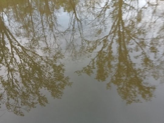 Unstrut (Freyburg/Unstrut)-4