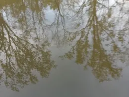 Unstrut (Freyburg/Unstrut)-4