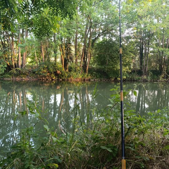 Unstrut (Freyburg/Unstrut)-3