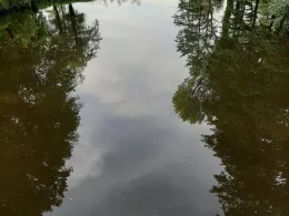 Almsicker Teich (Stadtlohn)-2