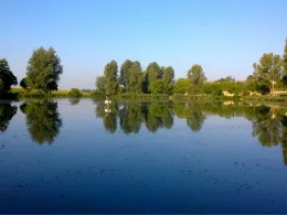 Tälesee (Empfingen)-0