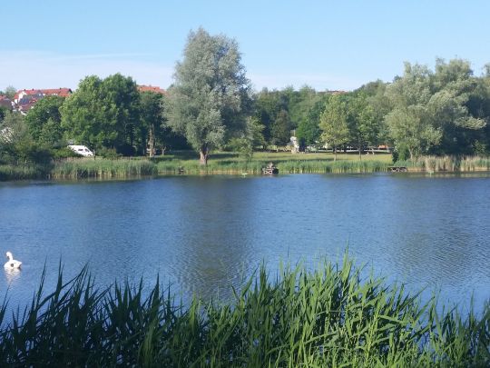 Tälesee (Empfingen)-4